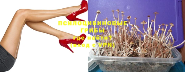 метадон Богданович