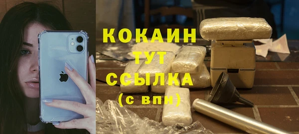 мдпв Богородск