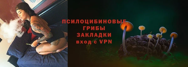 метадон Богданович