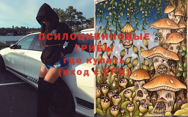 дурь Богородицк