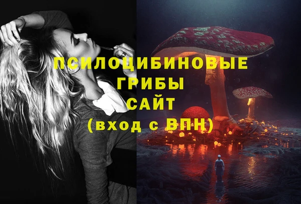 метадон Богданович