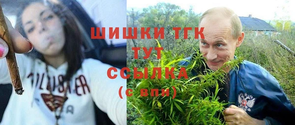 мдпв Богородск
