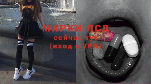 метадон Богданович