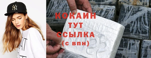 мдпв Богородск